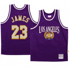 LeBron James Los Angeles Lakers Council Fashion Hardwood Classics Jersey Purple